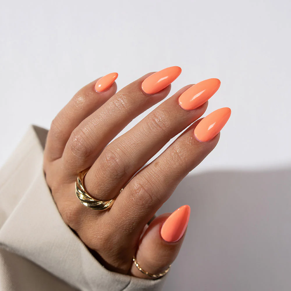 Coral Baskin - Image 4