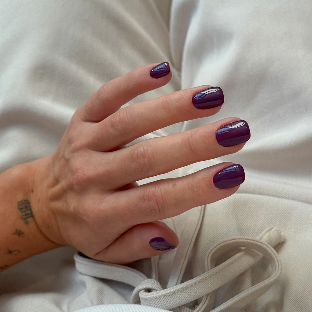 Elderberry | HEMA & TPO-Free - Image 2