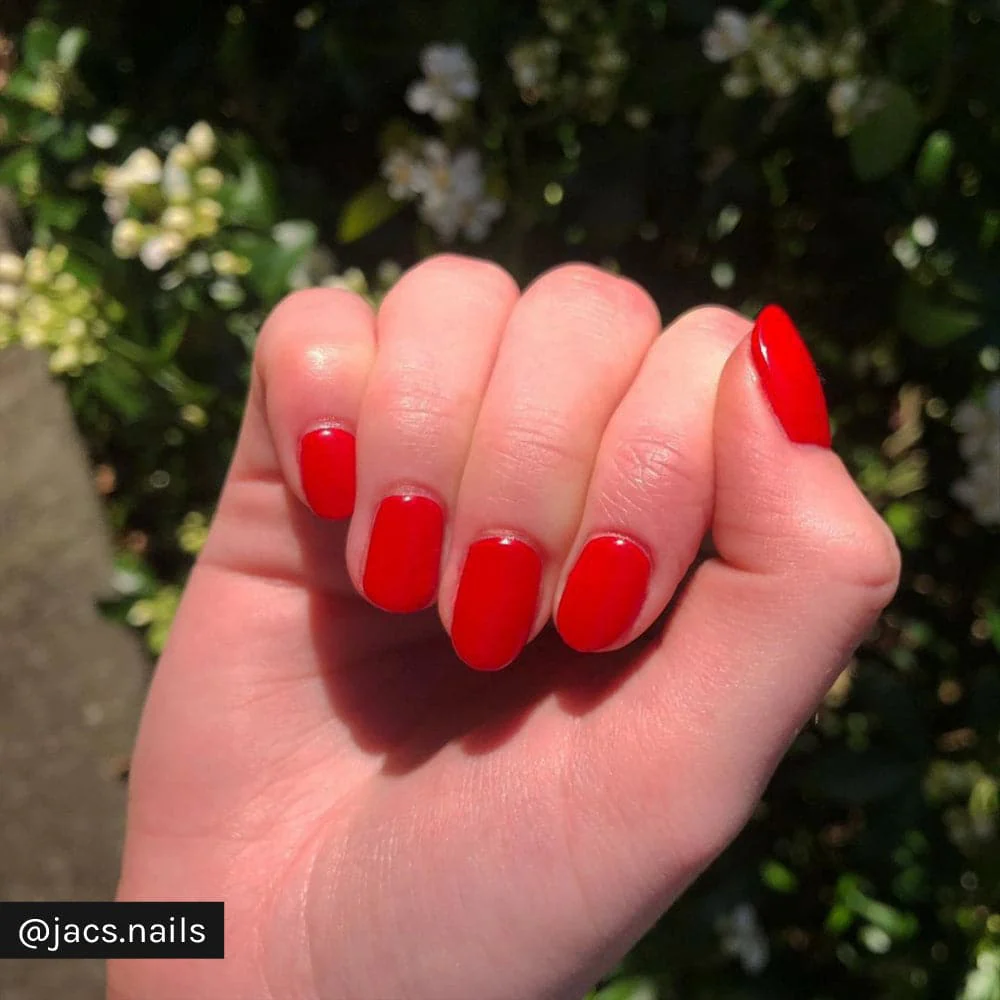 Red Sass - Image 19